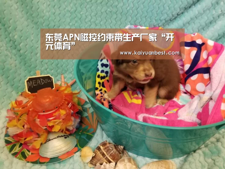 开元赛事